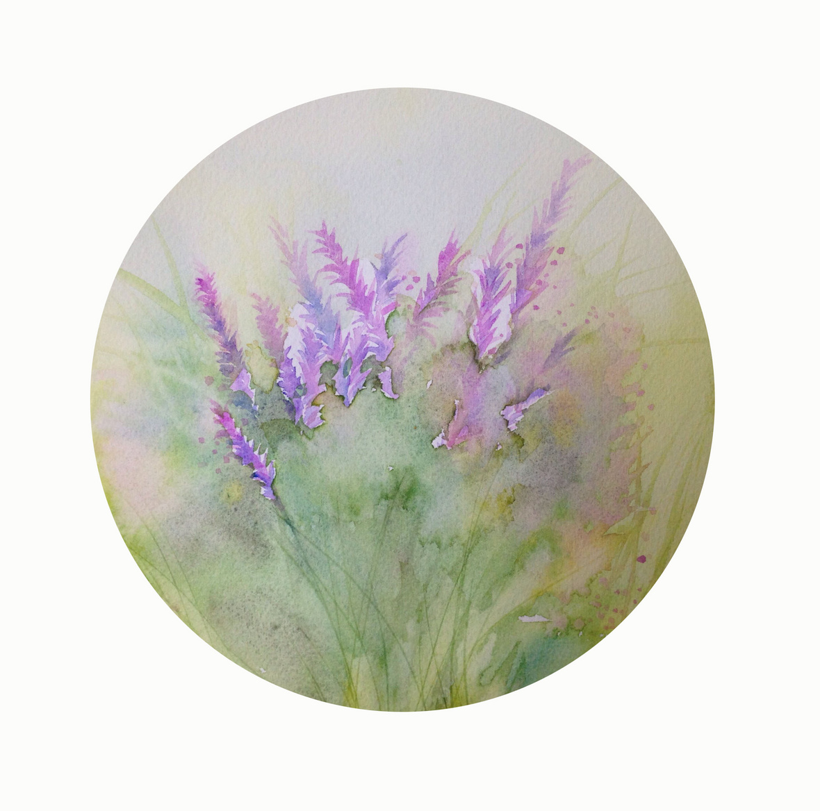 月下樱花_水彩 花水月