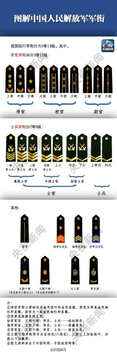 军衔等级领口排列图片图片
