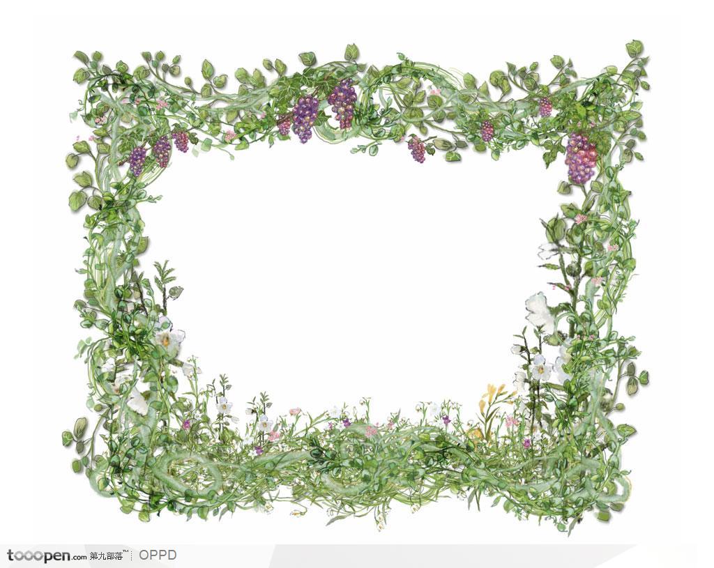 手绘紫色葡萄藤蔓小野花围成方形边框