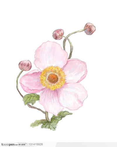 用彩色线条勾勒出来的手绘正面相对的粉色花朵