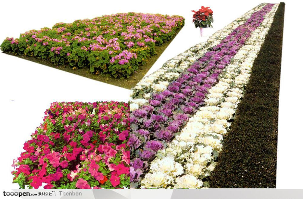园林花卉psd分层素材