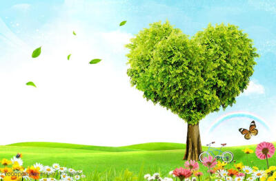 蓝天白云下的心形树木树叶 草地绿地花朵花卉