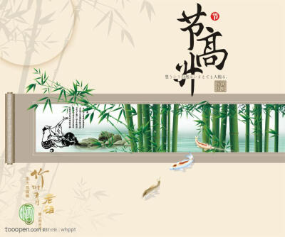福建竹叶青图片