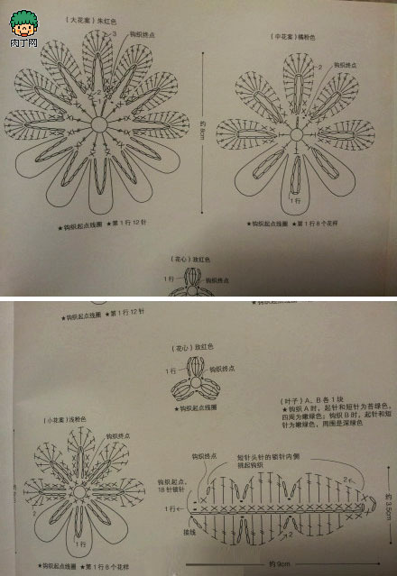 牡丹花钩针编织方法图解