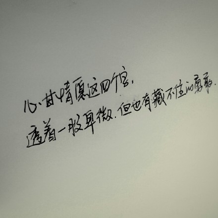 熊宝练字时间心甘情愿这四个字透着一股卑微但也有隐藏不住的勇敢