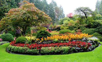 植物层次与色彩搭配(the butchart gardens)