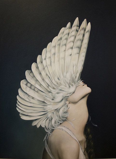 amy judd