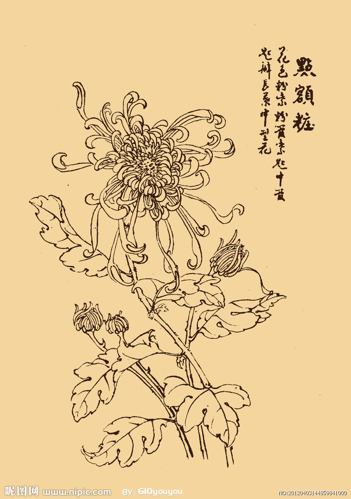 2019年11月5日 18:43   关注   菊花白描的搜索结果_百度图片搜索