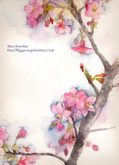 原稿 线稿 水粉 彩铅 涂鸦 水彩 插画 教程 花卉 植物 小清新 手绘