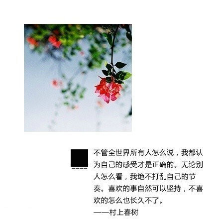 村上春树的经典语录做成的带字的图片,挺美的