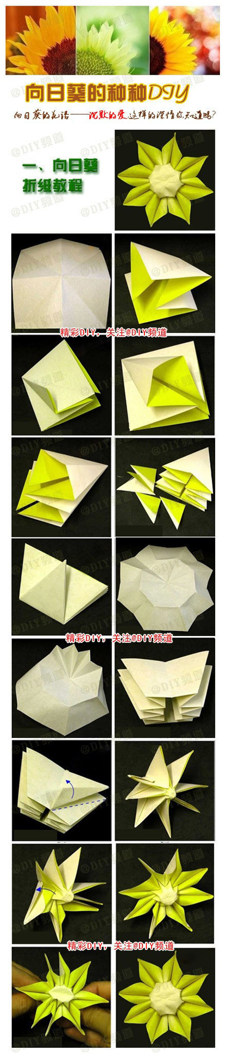 向日葵折纸教程 步骤图片