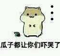 表情 仓鼠 抱瓜子 可爱 萌 表情包 聊天专用