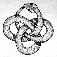 蛇的尾巴简笔画图片