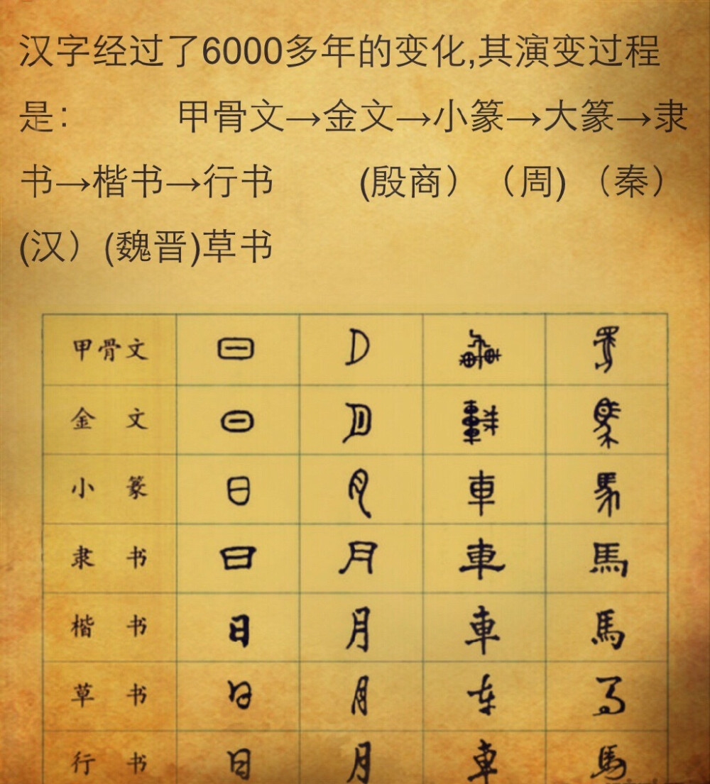 《汉字演变集萃》