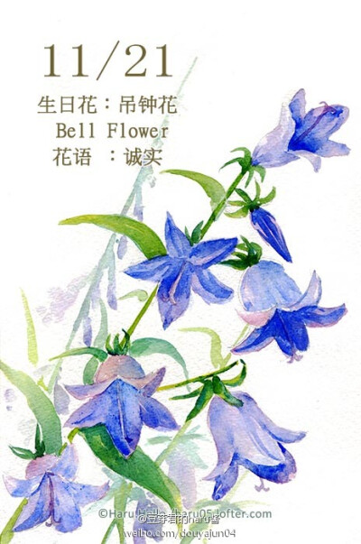 11月21日の生日花【吊钟花】花语 诚实 忍耐力强,处事平稳踏实是您