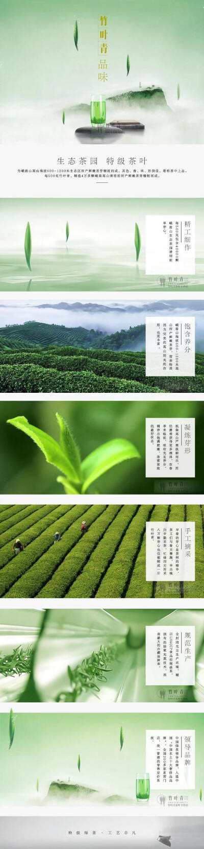 竹叶青标志图片