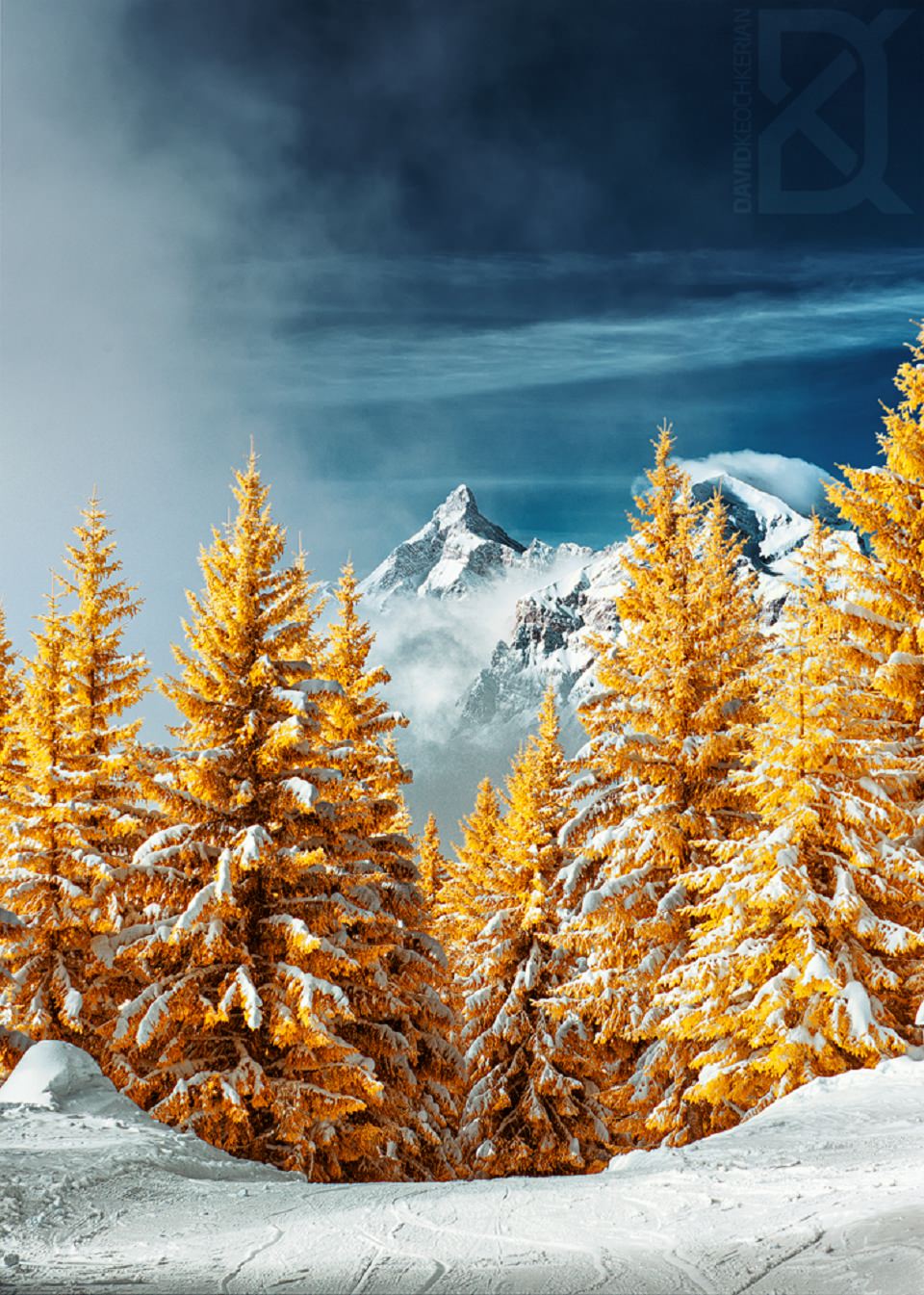 全球十大顶尖风光摄影师