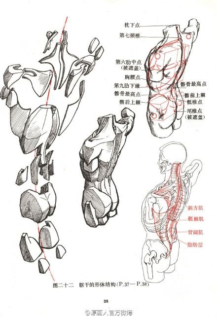 书的下载链接 @微盘:o【重要】艺用人体结构运动学.pdf