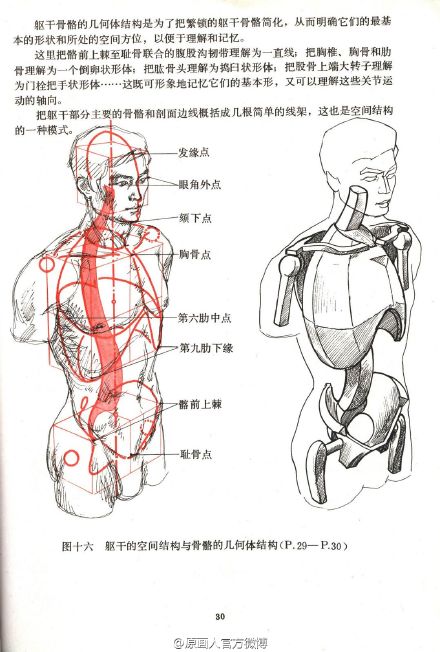 书的下载链接 @微盘:o【重要】艺用人体结构运动学.pdf