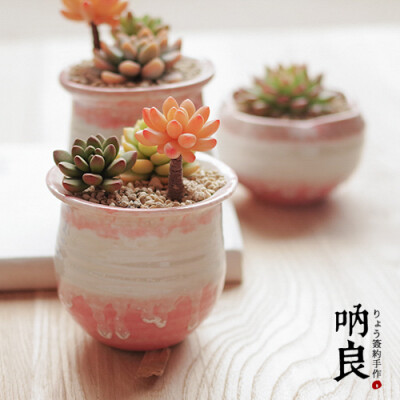 呐良|多肉植物花盆 须藤凉樱吹雪小款三器 粉白色窑变 现货出窑