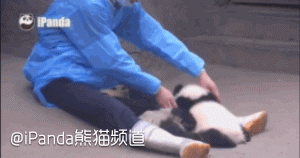 别走啊 
