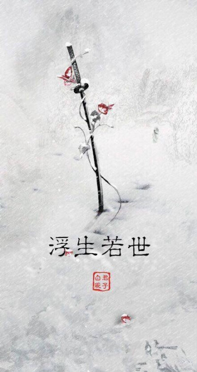 若世】人生碌碌,竞短论长,却不道荣枯有数,得失难量,且观世间百态