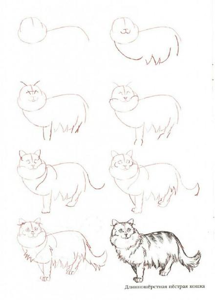 伦琴猫怎么画图片