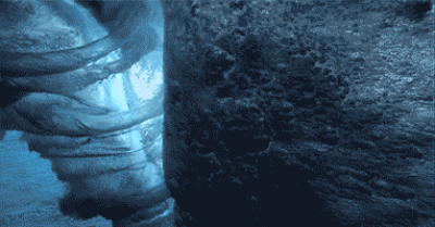 深海恐惧症图片gif图片