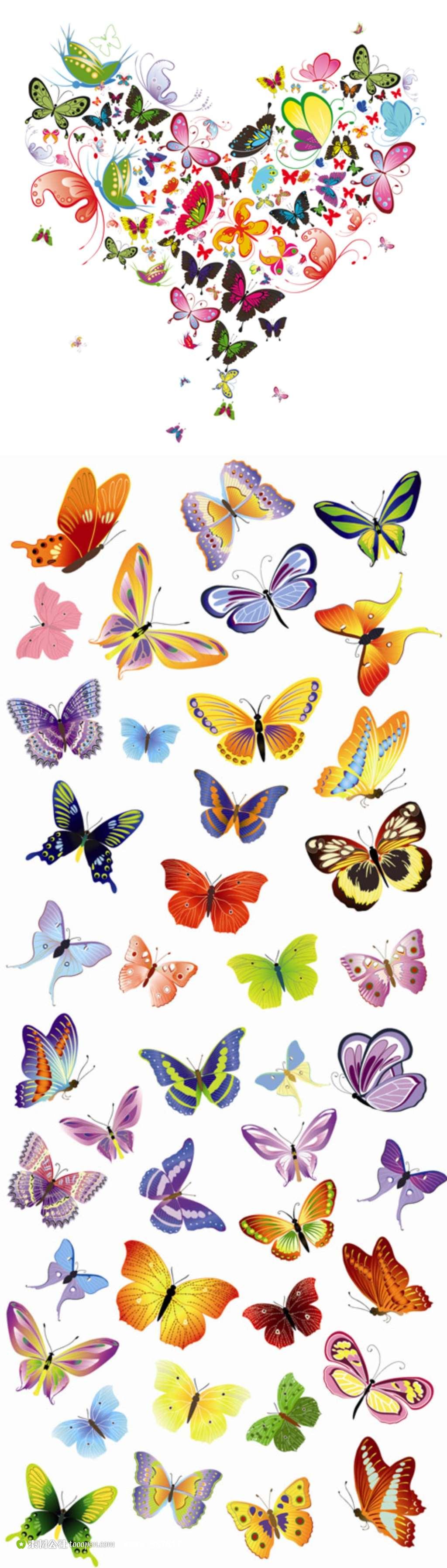 精美的手绘蝴蝶图案矢量插画