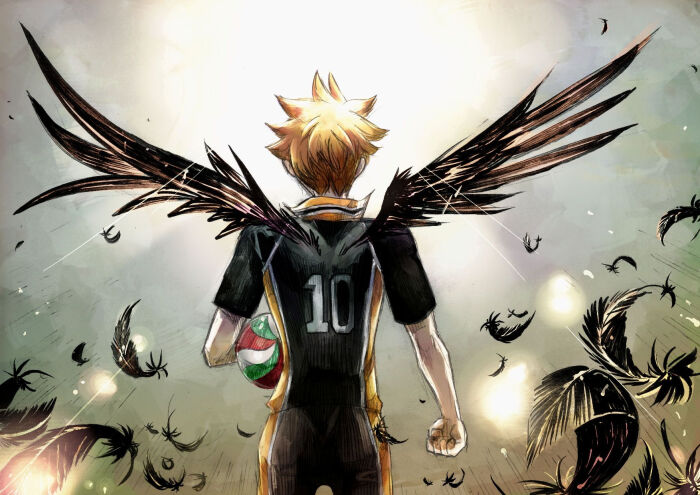 日向翔阳,pixiv id:46885842