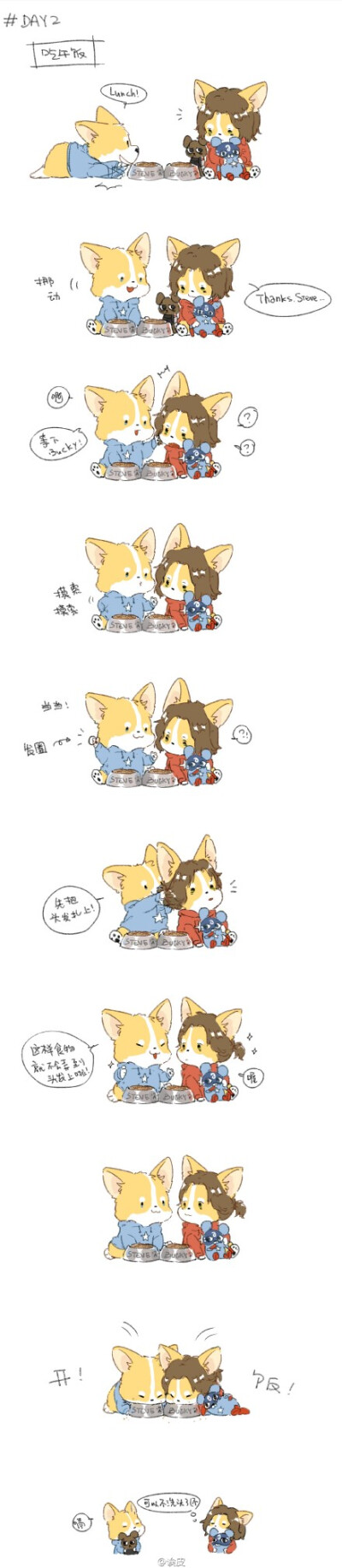 盾冬