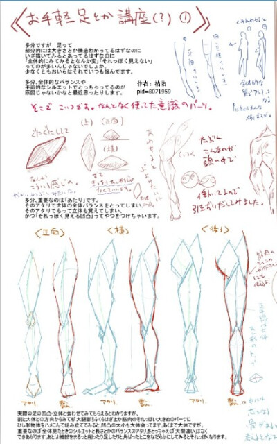 【画画参考】人体结构与肌肉