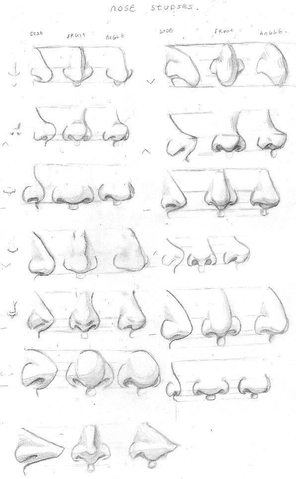 画鼻子的方法图片