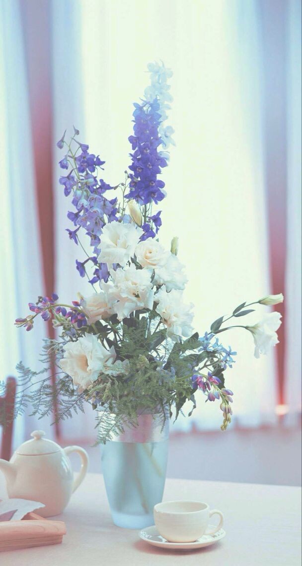 唯美清新文艺花朵高清手机壁纸