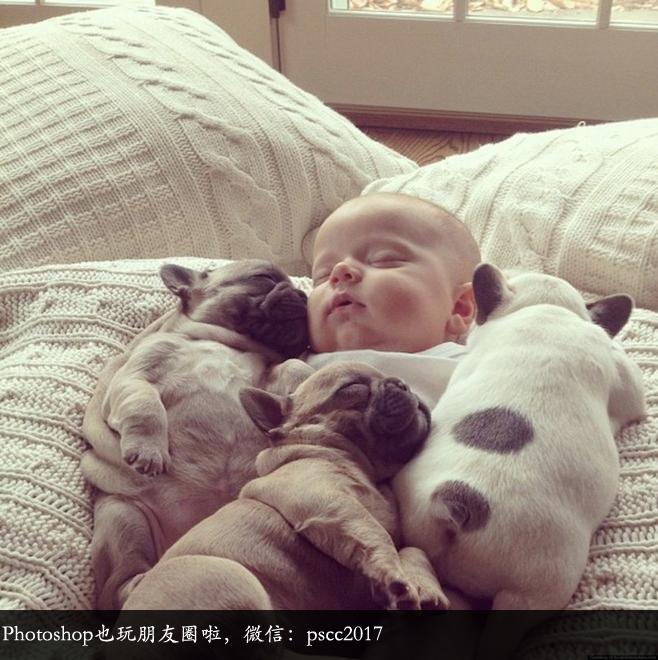 小婴儿和小斗牛犬拥眠照片风靡网络_图片聚焦_中国广播网 设计师qq群