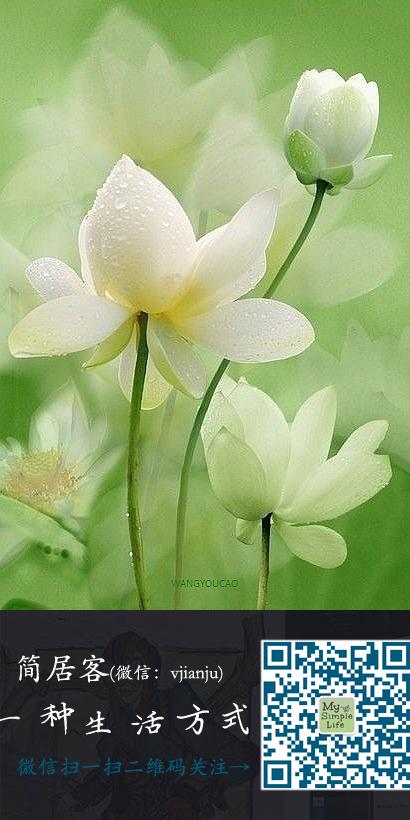 花 荷花 植物/花卉 嘀咕图片 设计师qq群,… - 堆糖