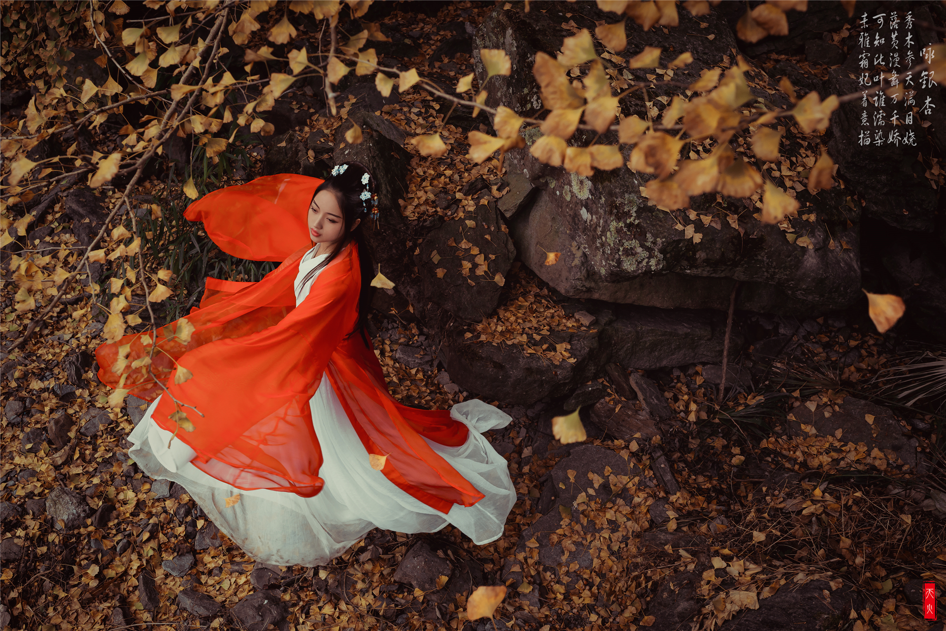 网络图片 - 堆糖,美图壁纸兴趣社区