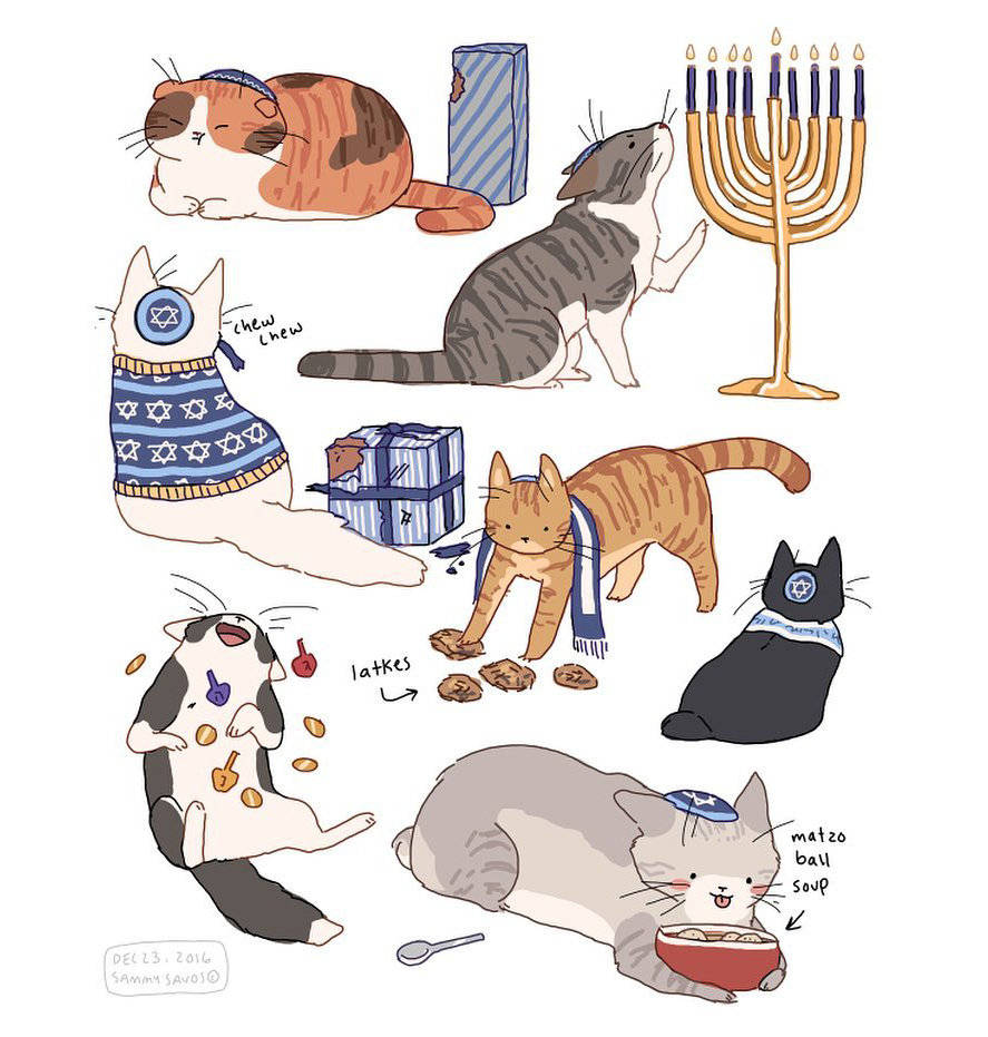 猫 插画