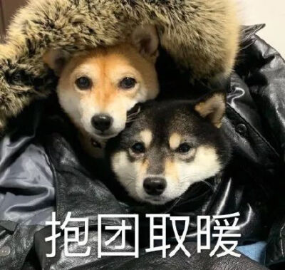 抱团取暖