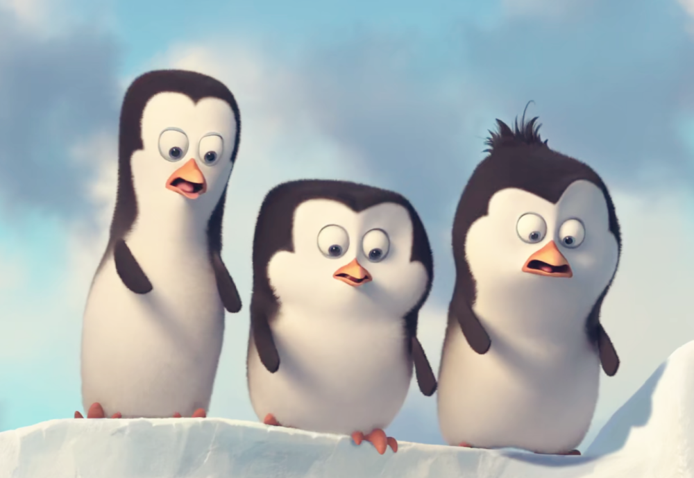 马达加斯加的 企鹅
