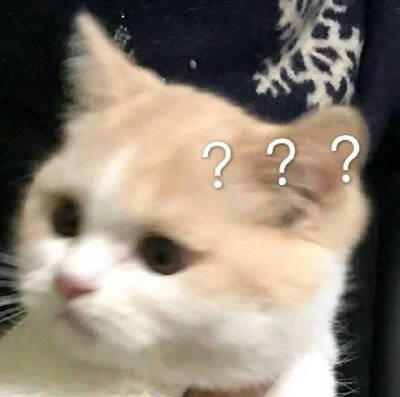 破产姐妹问号表情包