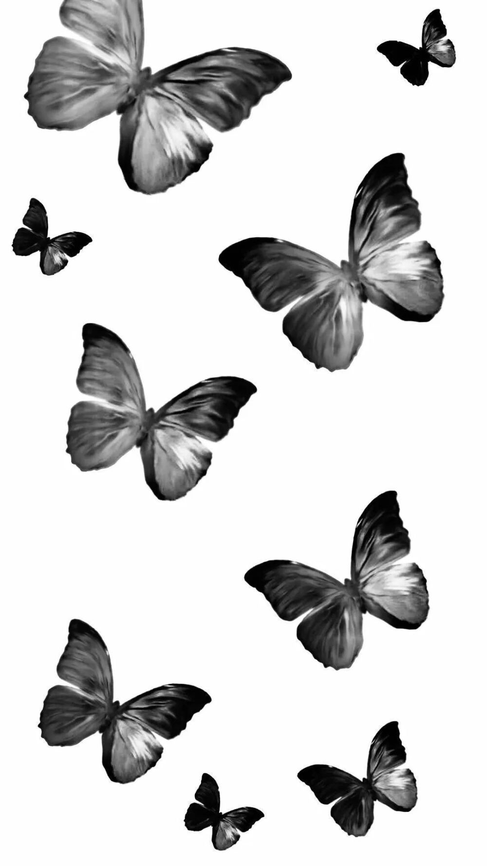 壁纸ins高级质感蝴蝶图片