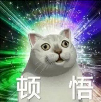 懵逼猫表情