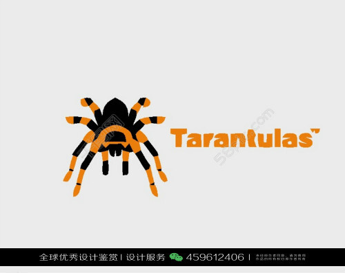 蜘蛛昆虫logo设计标志品牌设计作品欣赏27