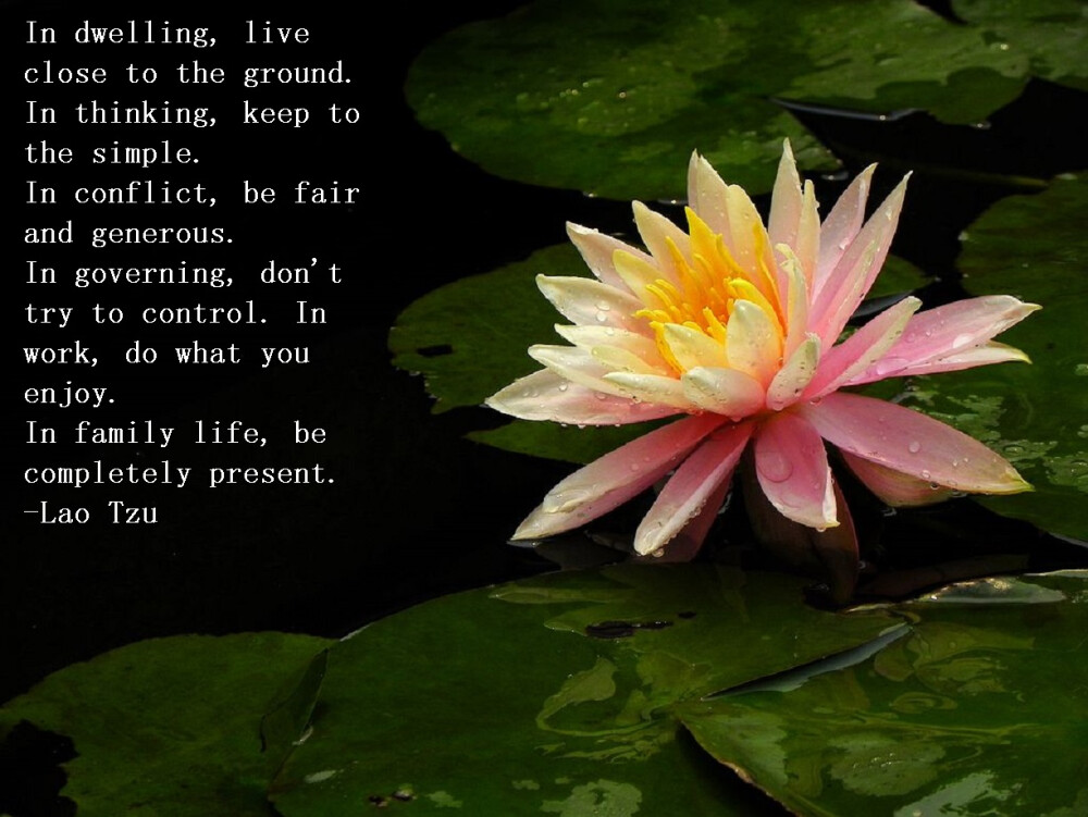 indwellingliveclosetothegroundinthinkingkeeptothesimple