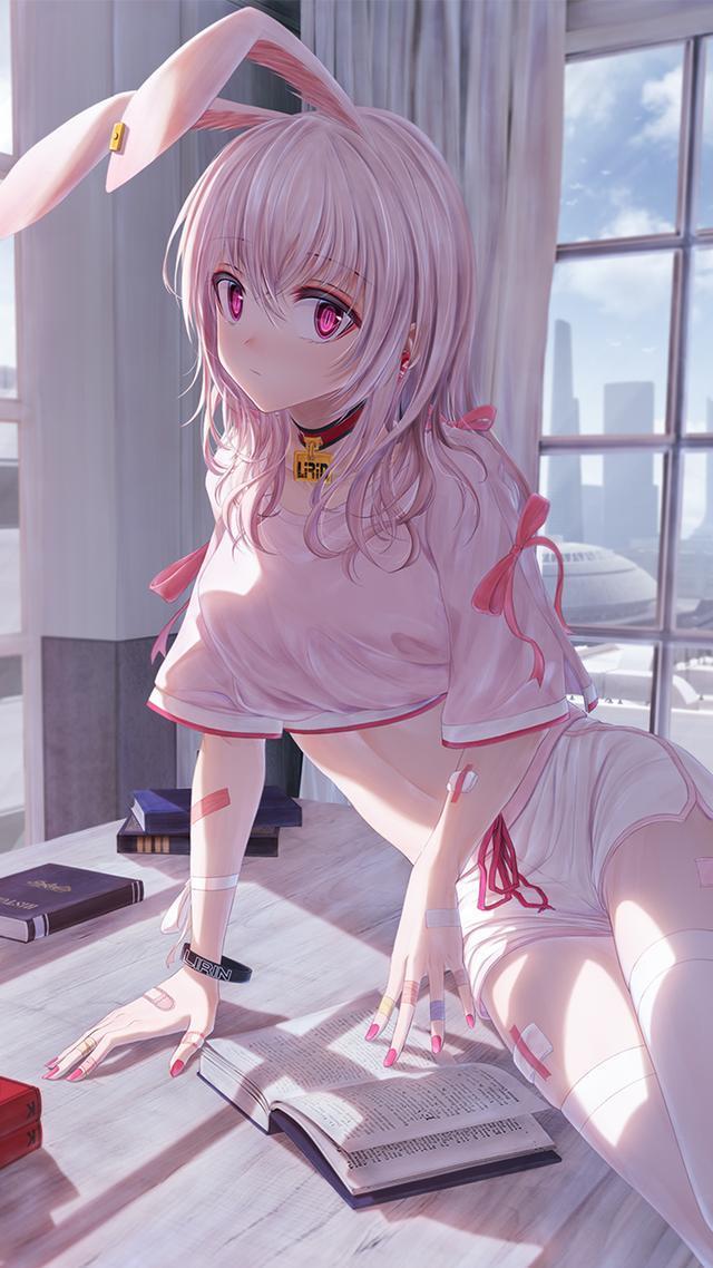 bae. c的兔子