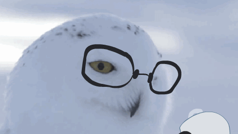 雪地猫头鹰表情包图片
