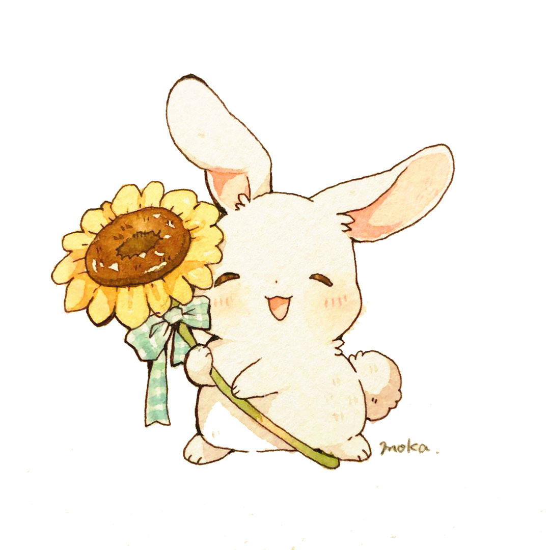 「兔子与下午茶」心都被萌化了 ins:mokarooru