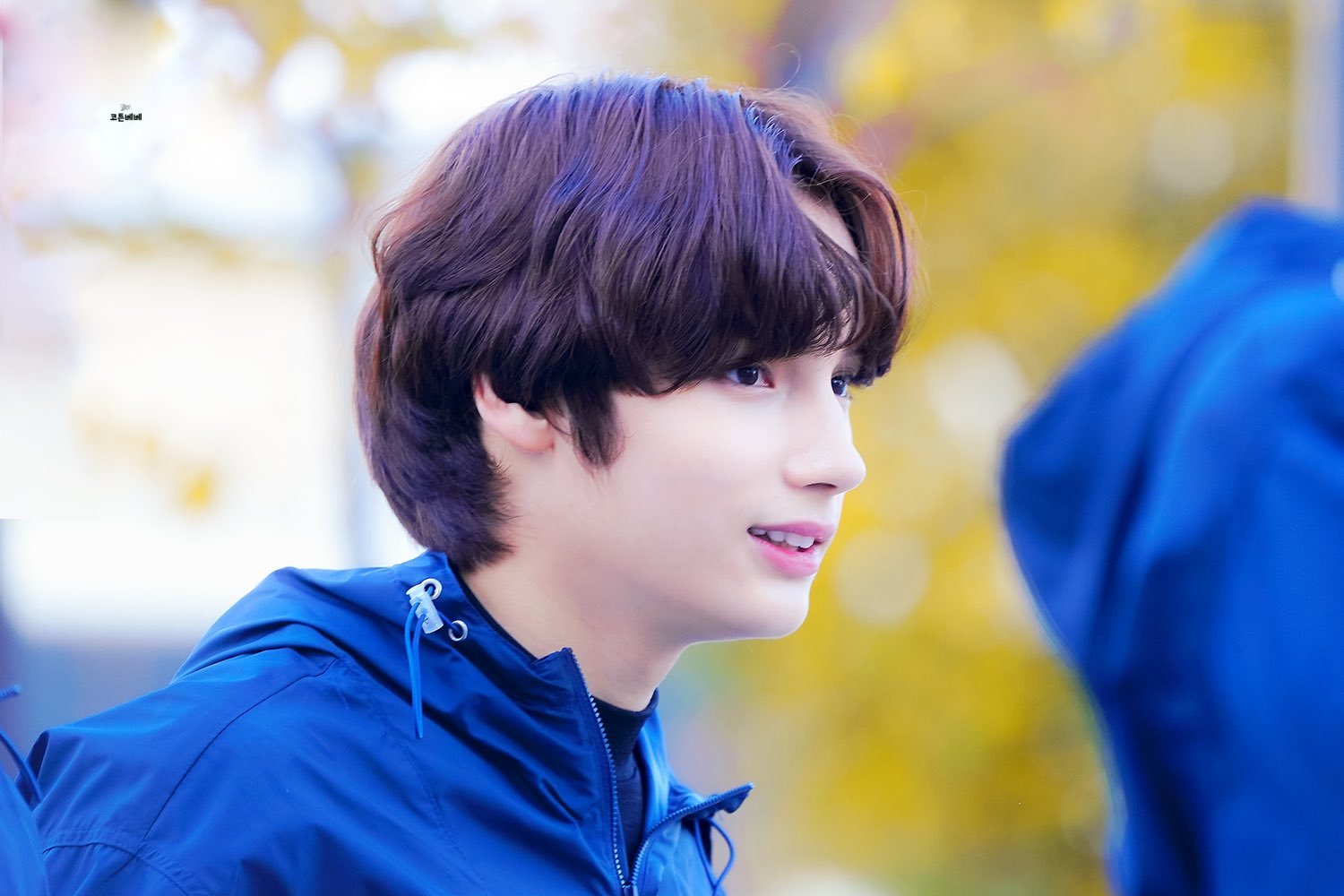 txt休宁凯 - 堆糖,美图壁纸兴趣社区