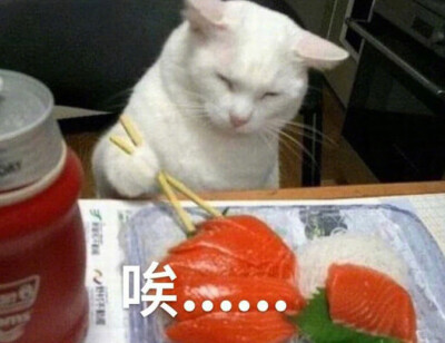 猫猫表情包 哎……吃不下饭